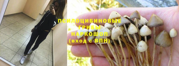 мдпв Арсеньев