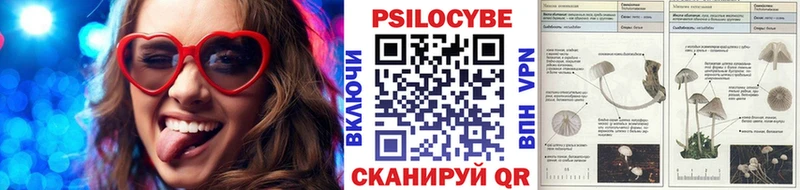 Галлюциногенные грибы Psilocybe  Новороссийск 